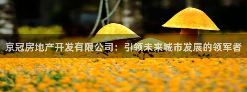 万向娱乐官网网址是多少