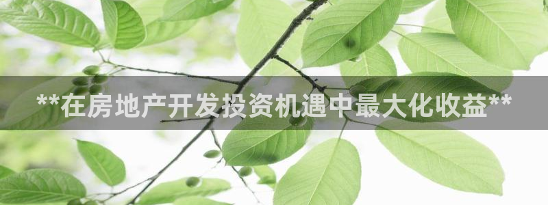 万向娱乐的联系方式