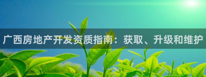 万向娱乐挂机