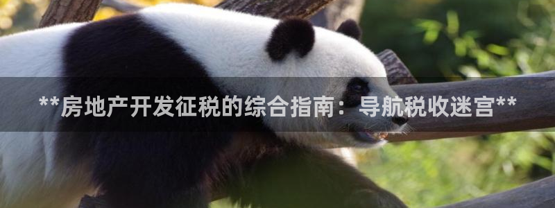 万向娱乐的494o3 主管