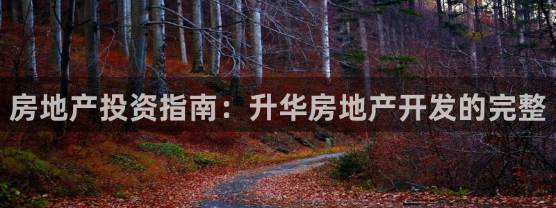 万象游戏代理