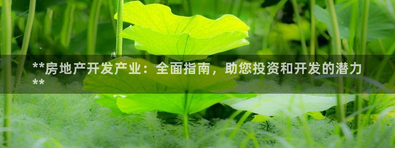 万向娱乐平台注册流程及费用