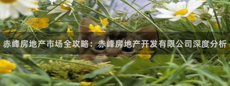 万向娱乐下载