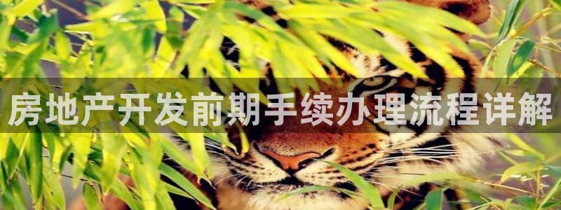 万向娱乐官网网址是什么