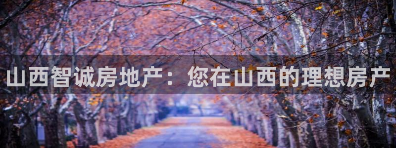 万向娱乐登陆