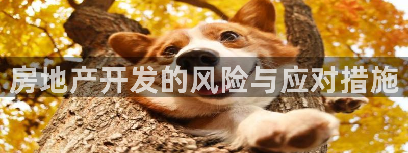 万向娱乐官网网址大全