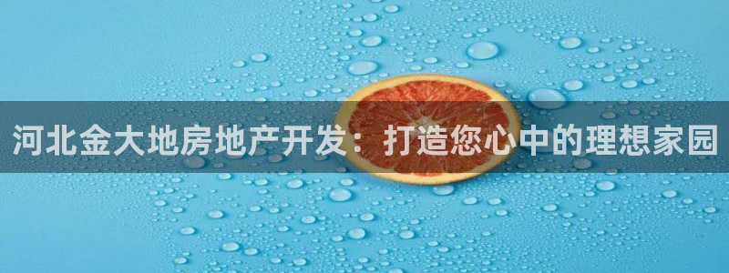 万向娱乐官网网址是什么