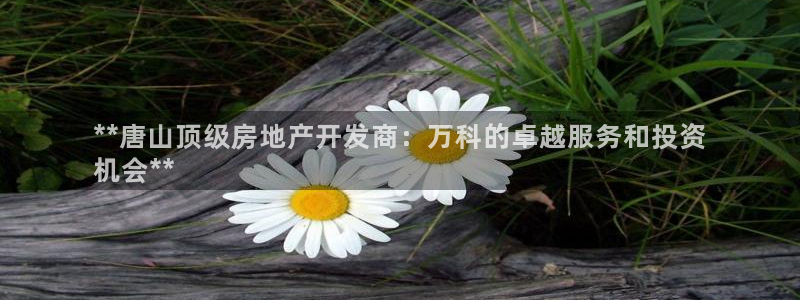 万向娱乐官网网址是多少