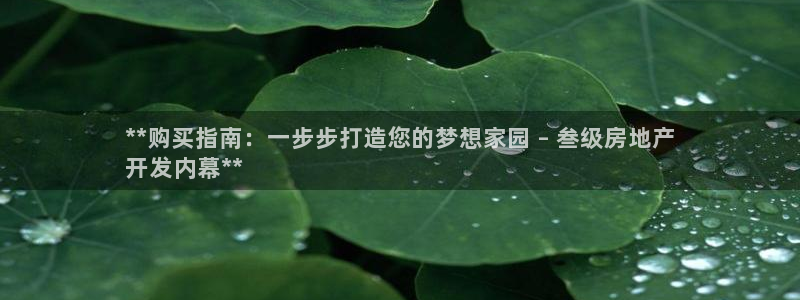 万向娱乐的联系方式有哪些