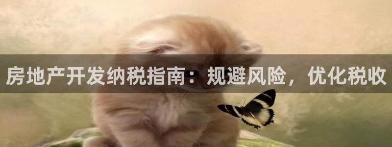 万向娱乐平台怎么下载