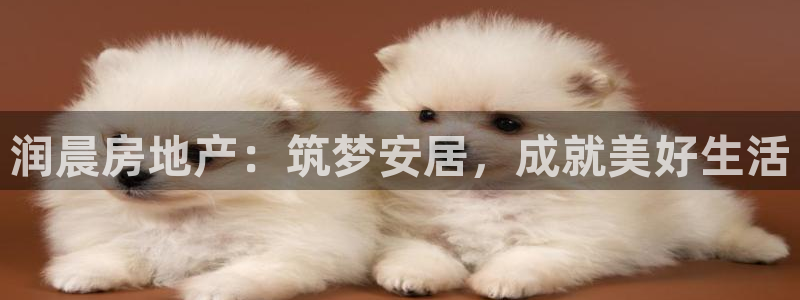 万向娱乐公司 585.34I 娱乐