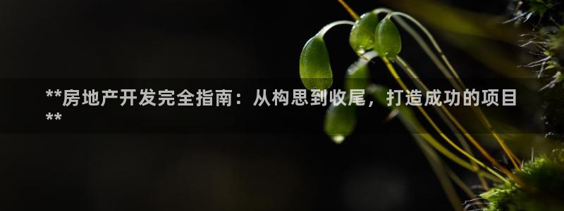 万向娱乐登陆官网入口